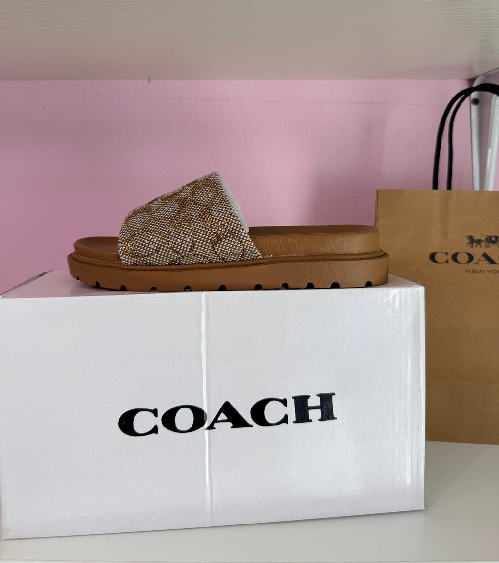 Sandalia COACH Cafe brillante