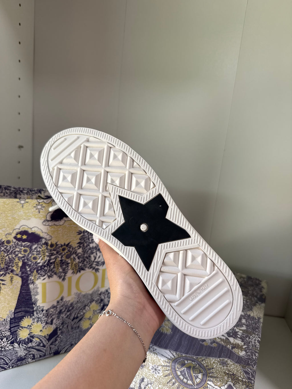 Tenis Dior