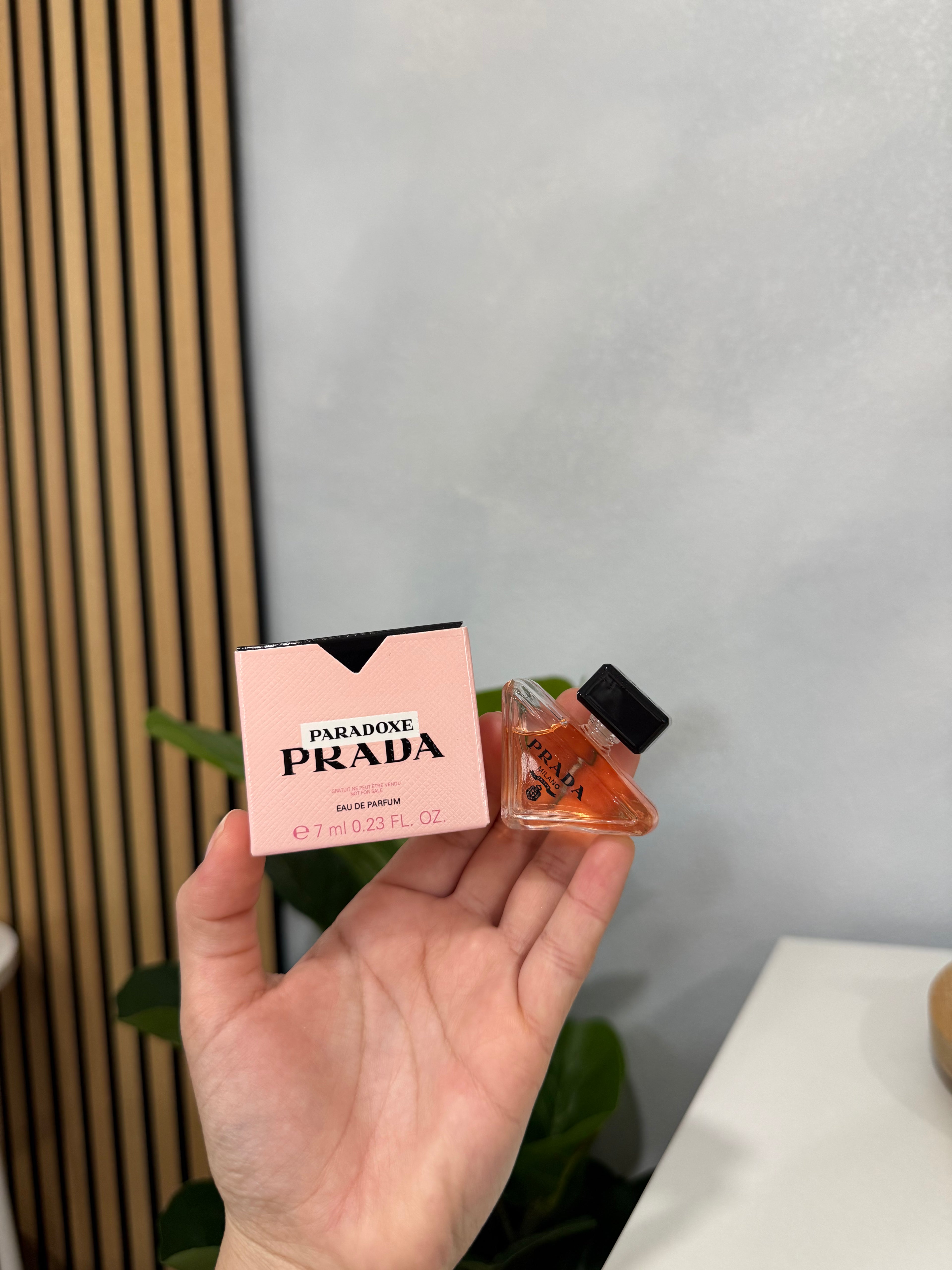 PRADA 6 UNIDADES