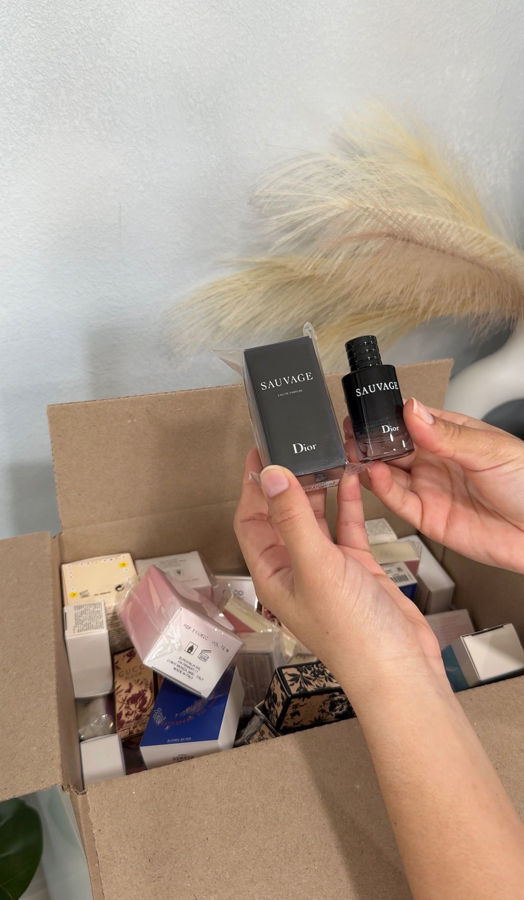 CAJA 50 MINI PERFUMES